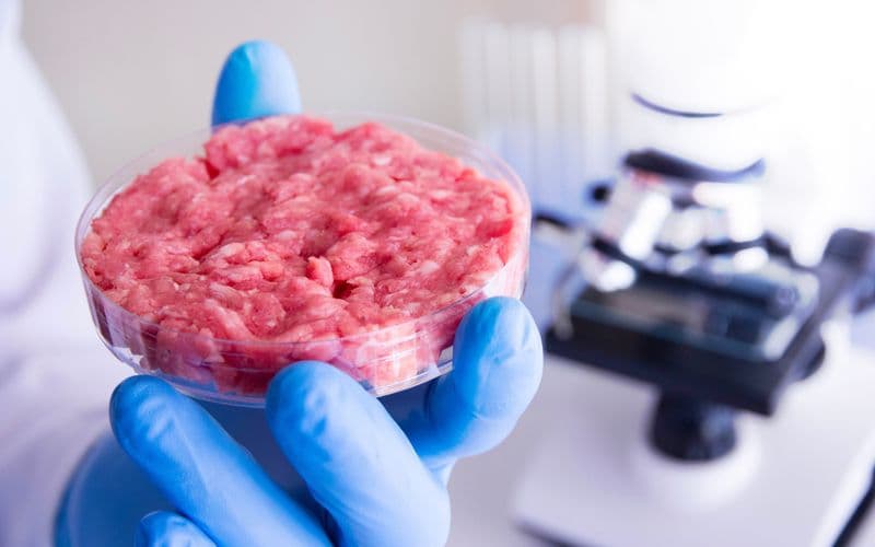 lab grown meat